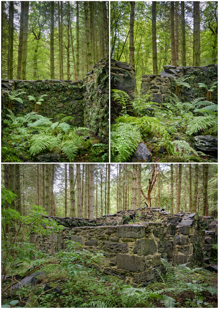 Ruin in the wood