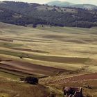 Ruin on a land and fields