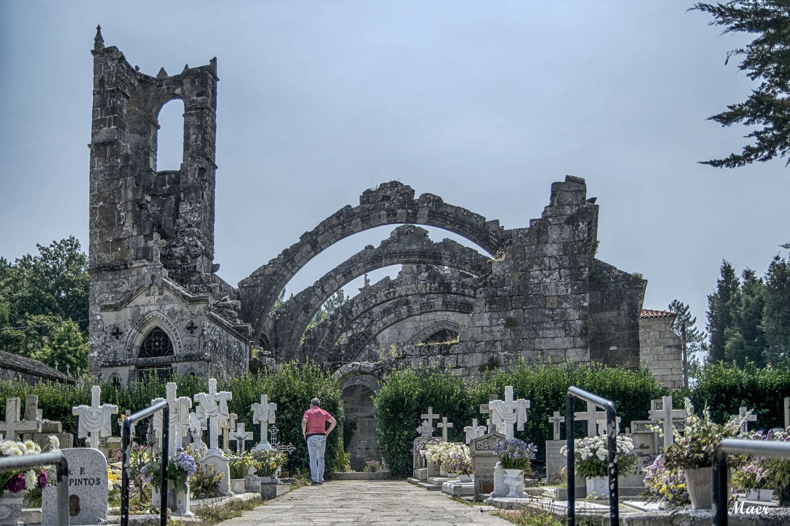 Ruinas de Santa Mariña en Betanzos. Galicia