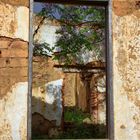 Ruinas, naturaleza abriendose paso