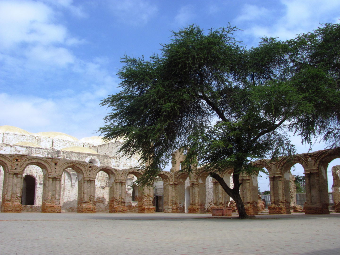 Ruinas y Naturaleza