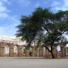 Ruinas y Naturaleza