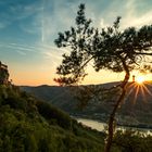 Ruine Aggstein bei Sonnenuntergang