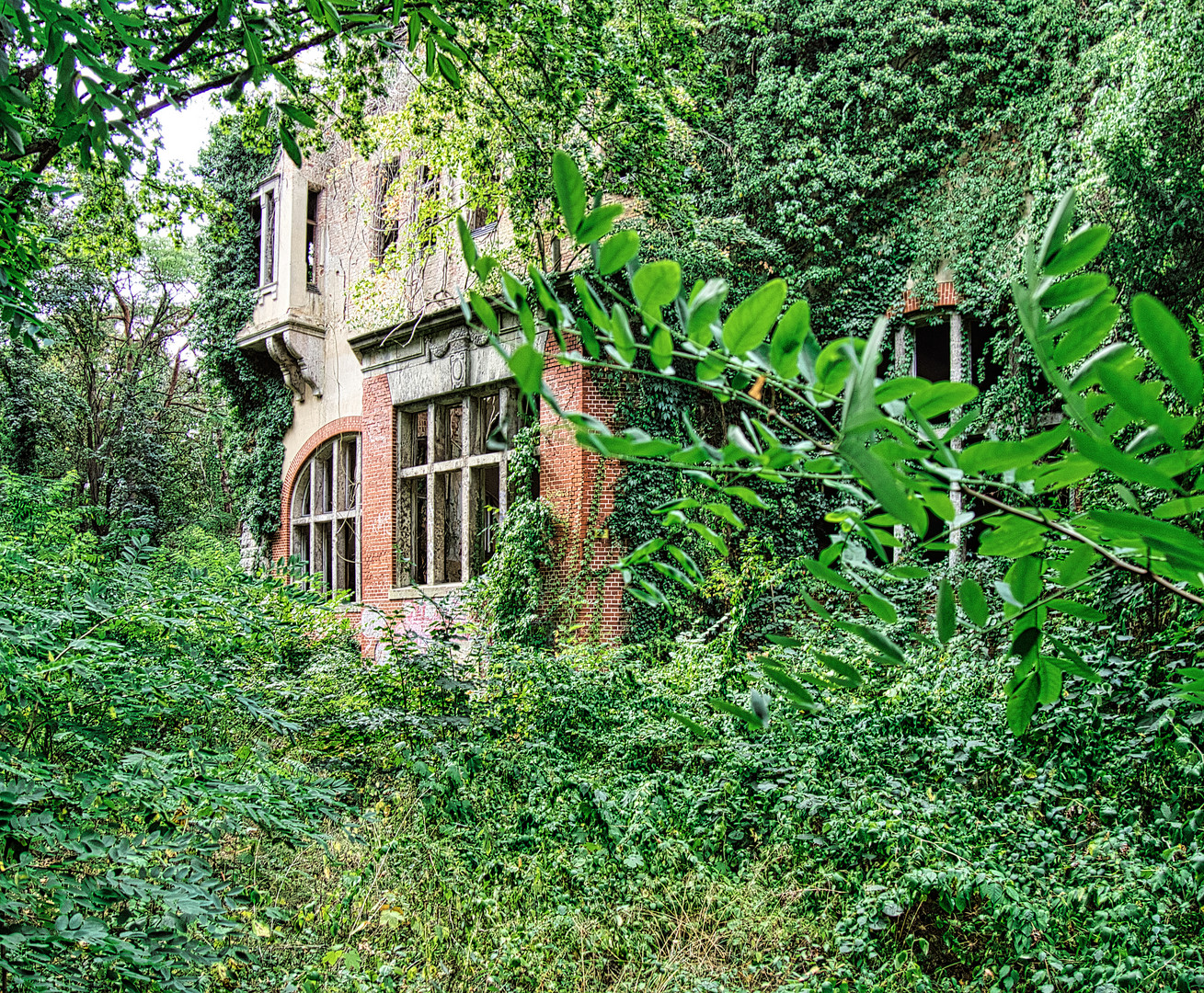 Ruine Alpenhaus