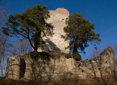 Ruine Altbodman