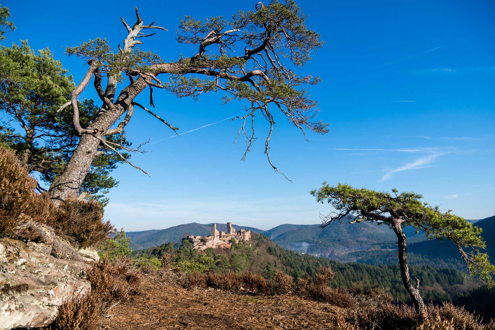 Ruine Altdahn