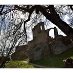 ruine altenstein III