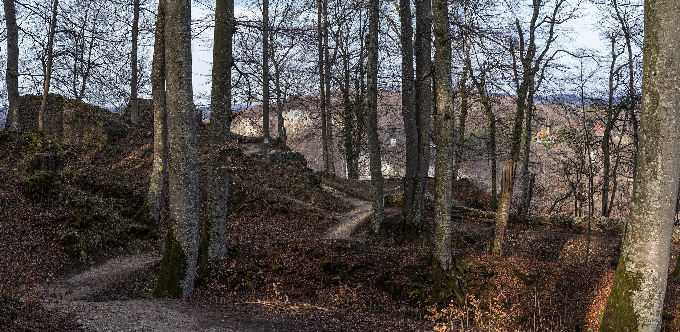 Ruine Alter Lichtenstein