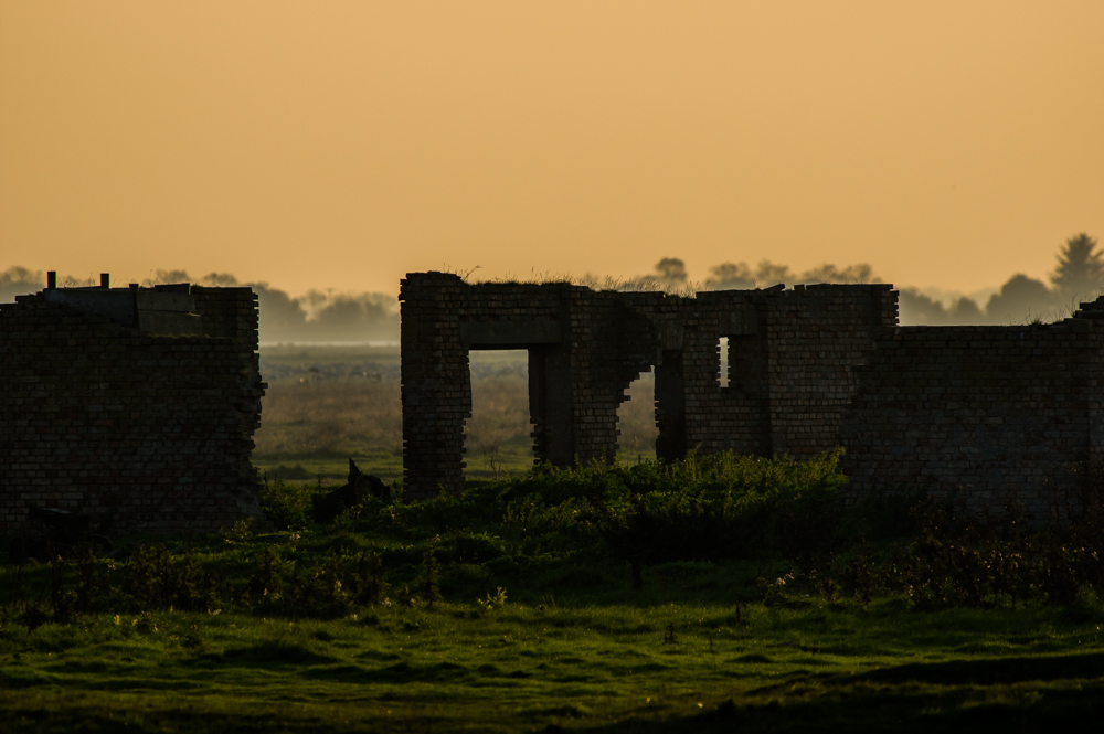 Ruine alter Stallanlage ( Insel Großer Kirr )