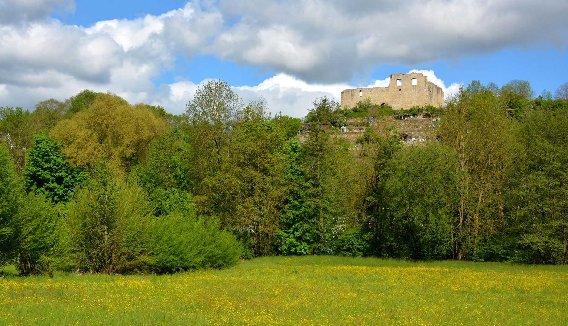 Ruine Altsachsenheim