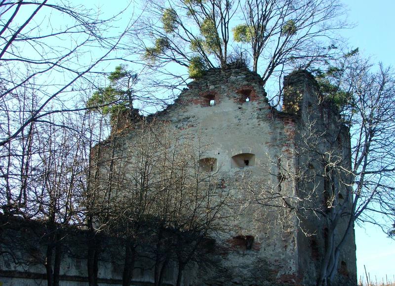 Ruine Altschielleiten