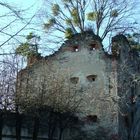 Ruine Altschielleiten