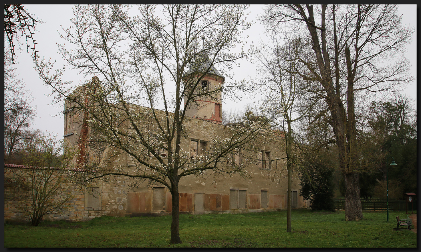 ...Ruine am Magnolienbaum...