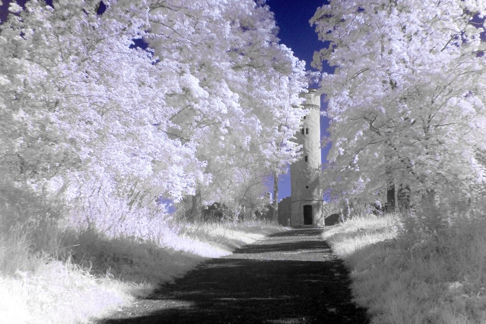 Ruine am Theresienstein