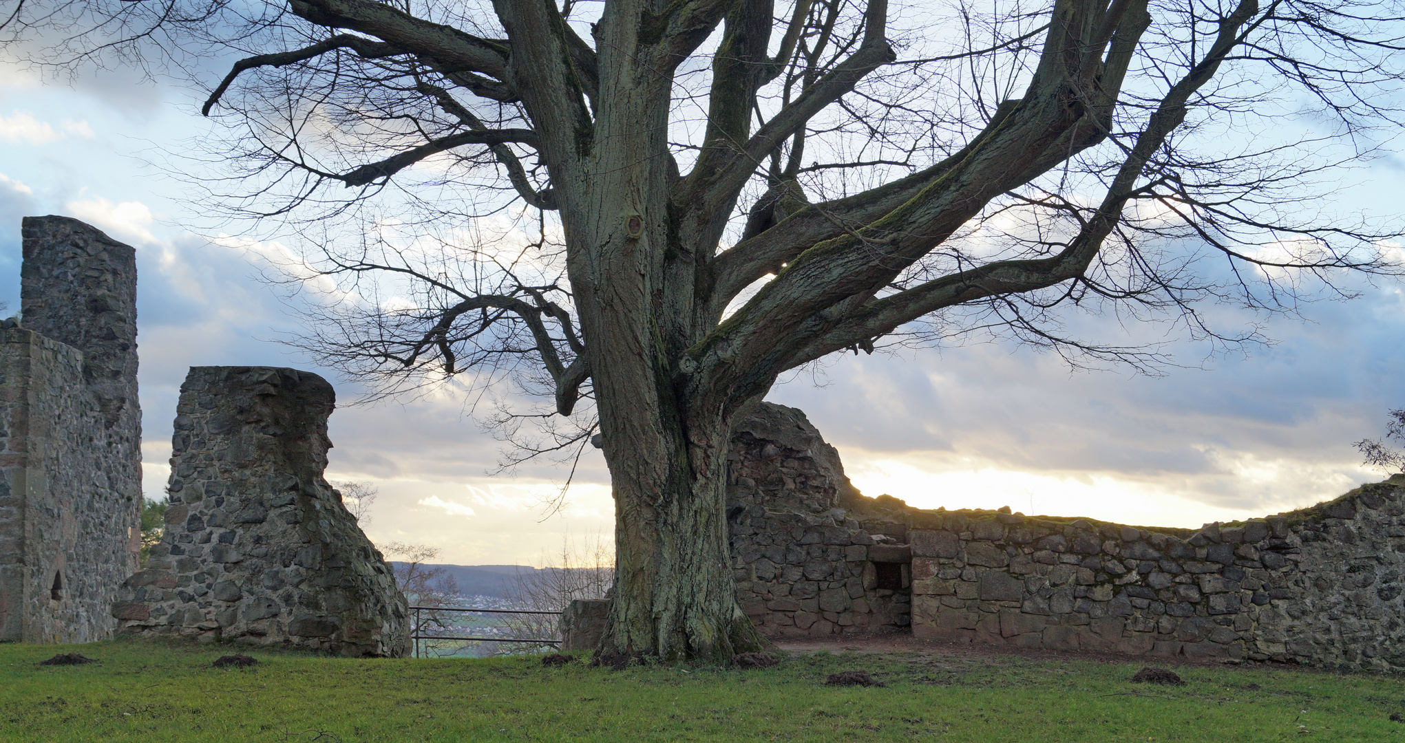 Ruine Amöneburg