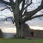 Ruine Amöneburg