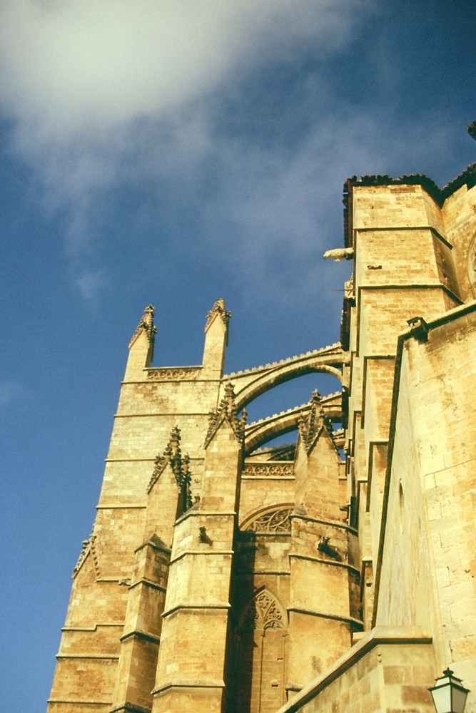 Ruine an der Dordogne