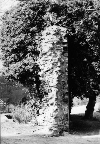 Ruine an der Sparrenburg 2