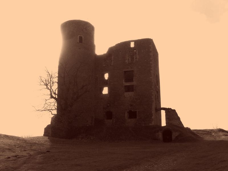 Ruine Arnstein ... die Erste...