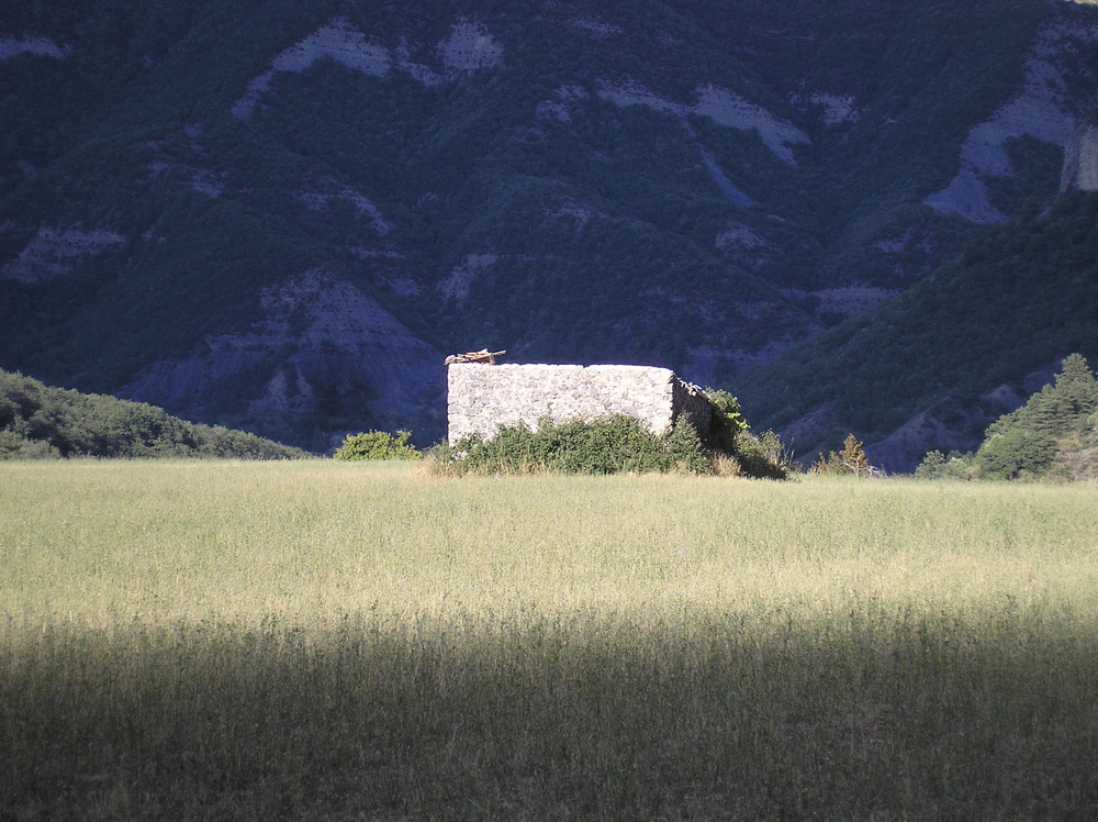 Ruine auf dem Feld