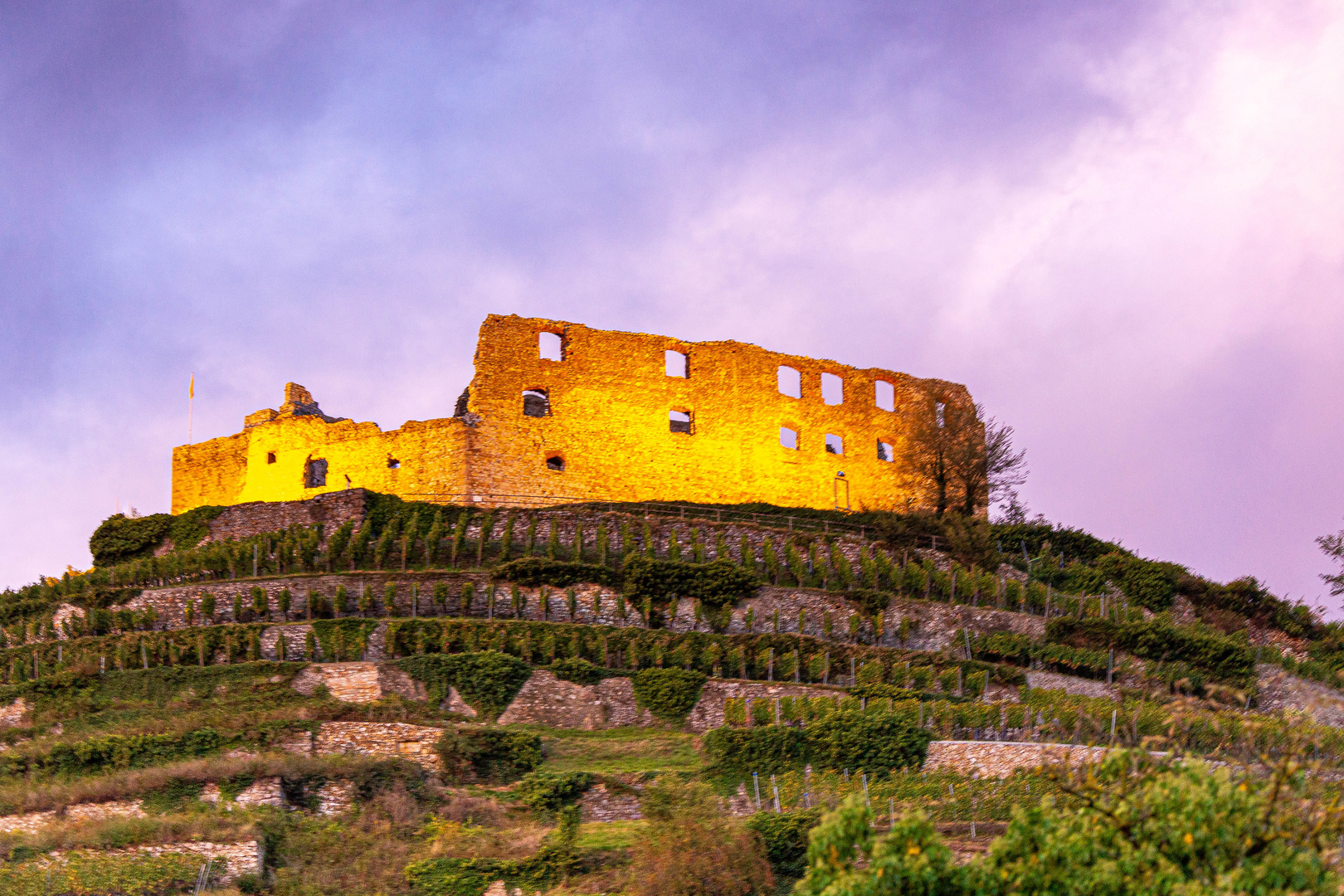 Ruine auf dem Weinberg