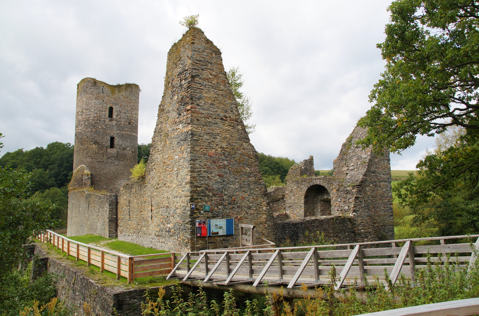 Ruine Baldenau