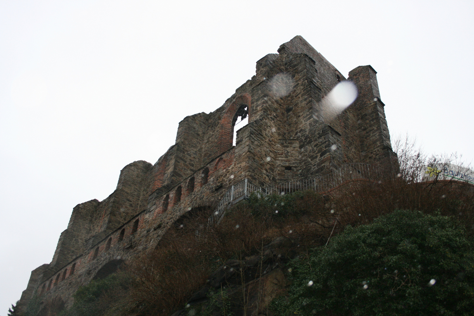 Ruine Bautzen