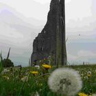 Ruine bei Trim Castle (Irland)