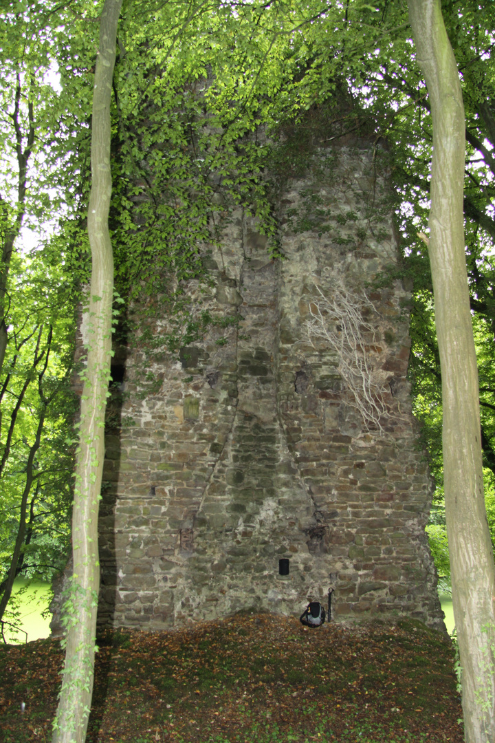 Ruine Bernsau in OVERATH 1