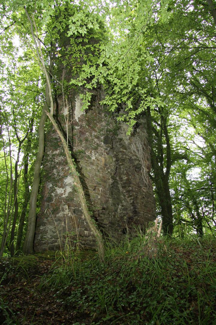 Ruine Bernsau in OVERATH 2