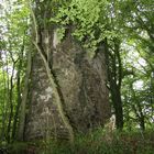 Ruine Bernsau in OVERATH 2