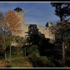 Ruine Bernstein / Elsaß