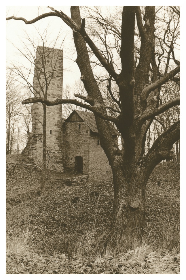 Ruine Boyneburg