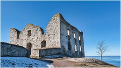 Ruine Brahehus