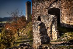 Ruine Brandenburg