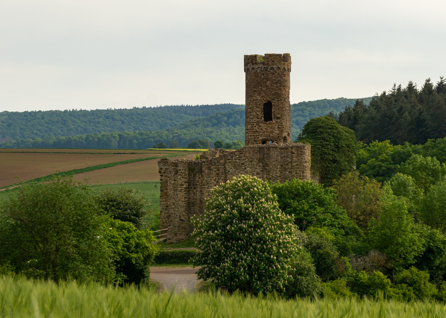 Ruine Burg Ardeck