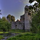 Ruine Burg Daisbach 13