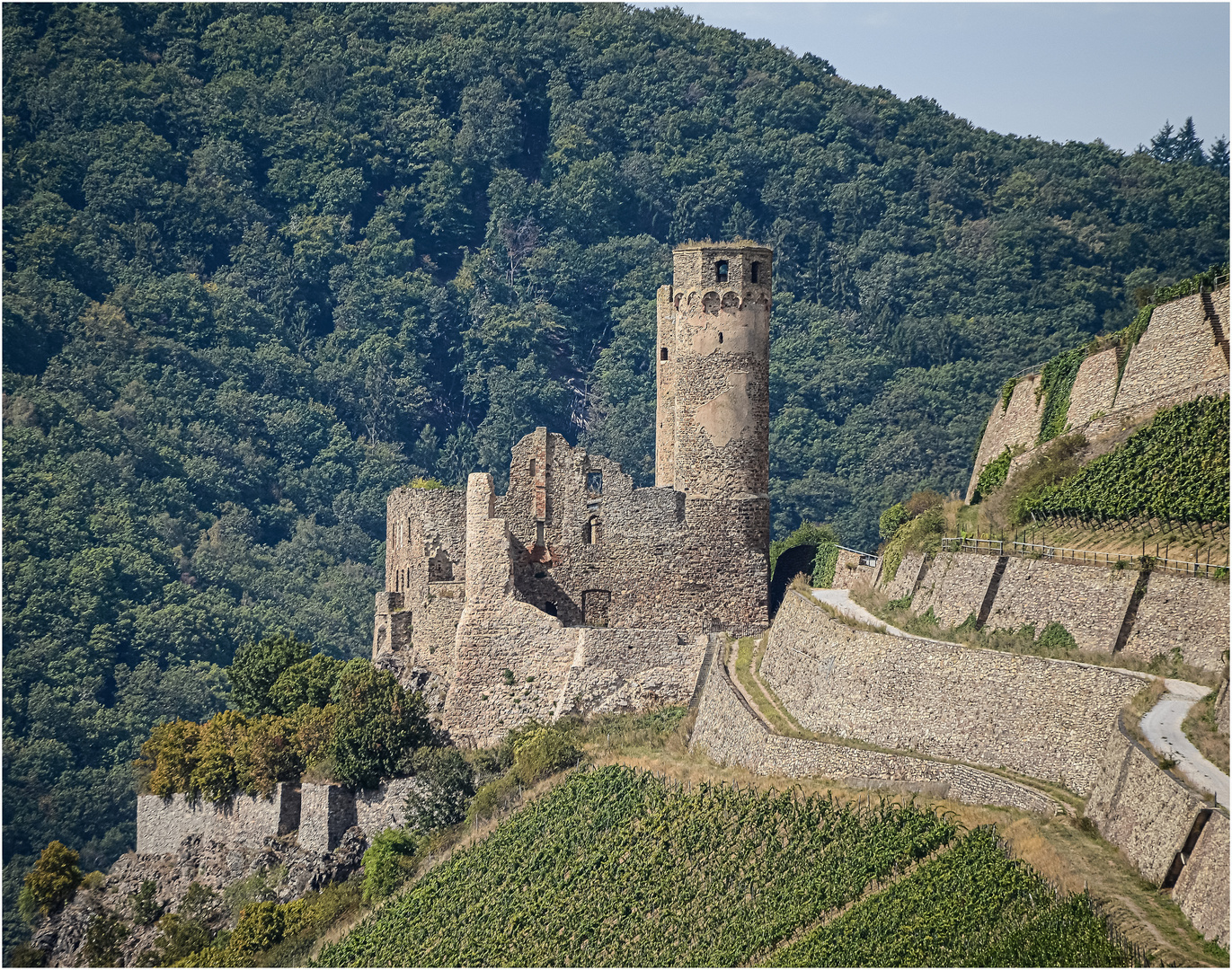 Ruine Burg Ehrenfels