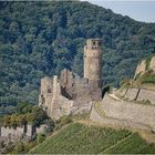 Ruine Burg Ehrenfels