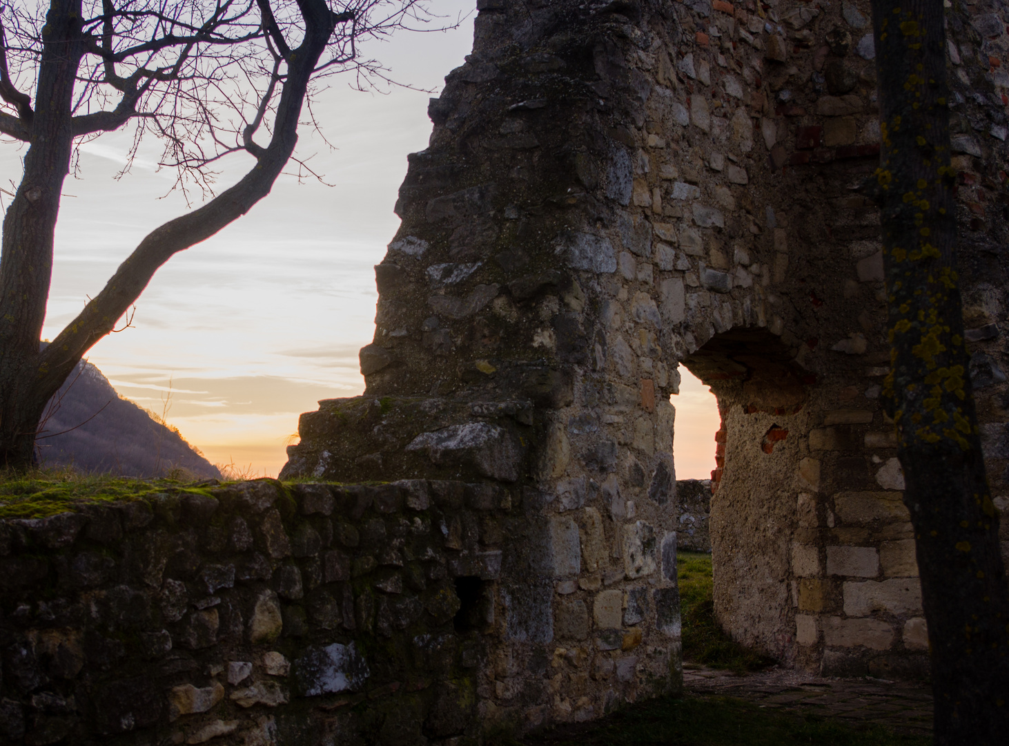 Ruine Burg Hainburg