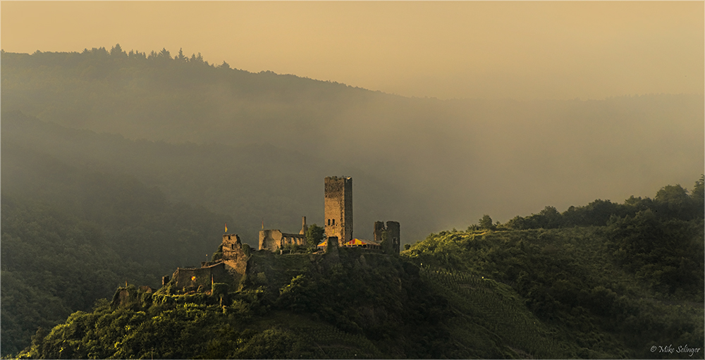 Ruine Burg Metternich ...