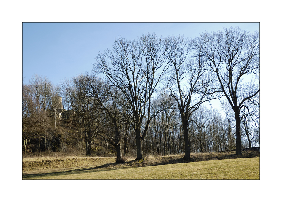 Ruine Burg Renneberg