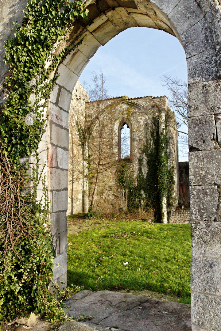 Ruine de l'église Saint Pierre de Laleu XII° (La Rochelle) photo 2