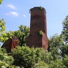 Ruine der Blankenburg bei Wolfshagen