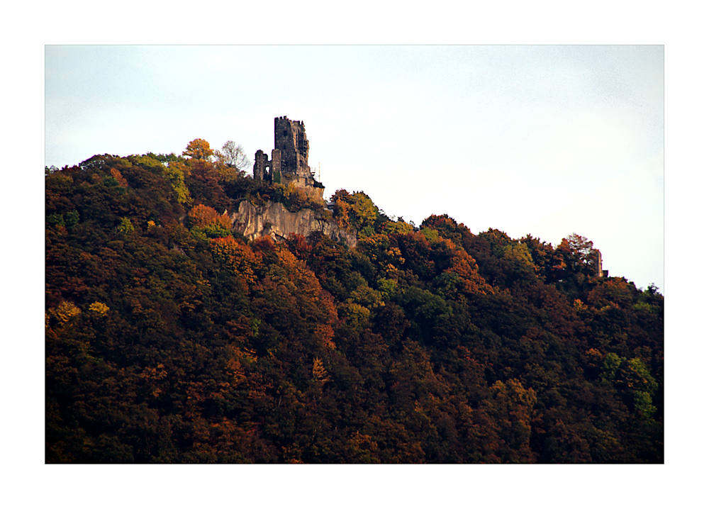 Ruine der Burg Drachenfels