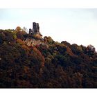 Ruine der Burg Drachenfels