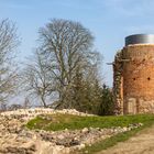 Ruine der Burg Greiffenberg