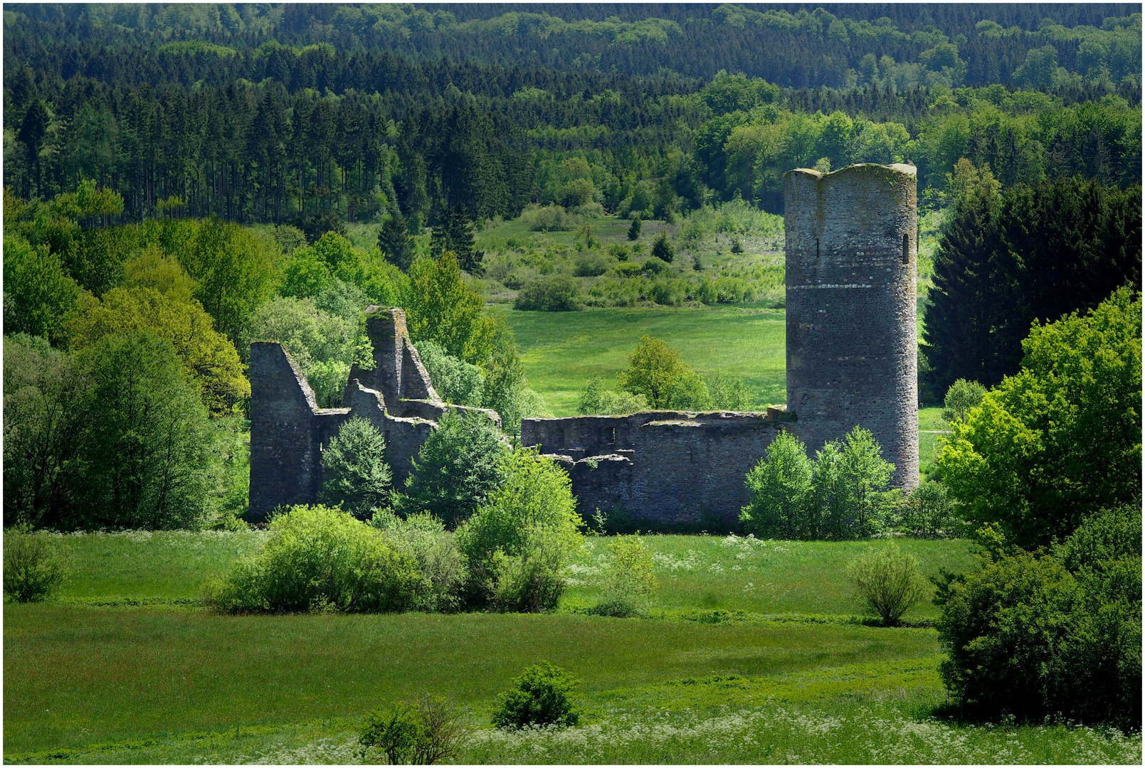 Ruine der ehem. Wasserburg Baldenau / Hunsrück (1)