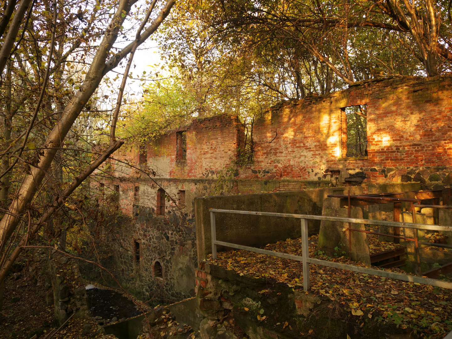 Ruine der Wanzkaer Mühle...