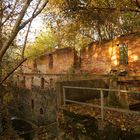 Ruine der Wanzkaer Mühle...